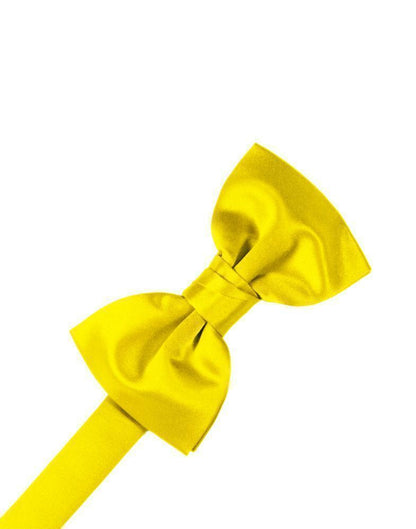 Luxury Satin Kids Bow Tie-62