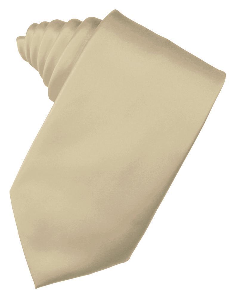 Luxury Satin Necktie Self Tie-4