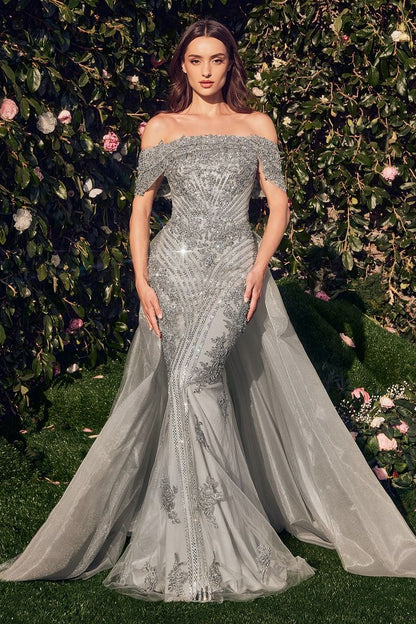 Silver Coronet Gown-0