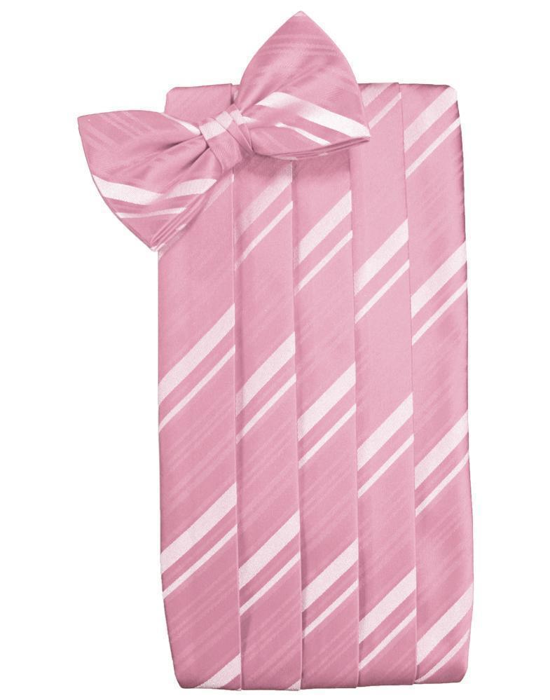 Set Striped Satin Cummerbund & Bow Tie-14