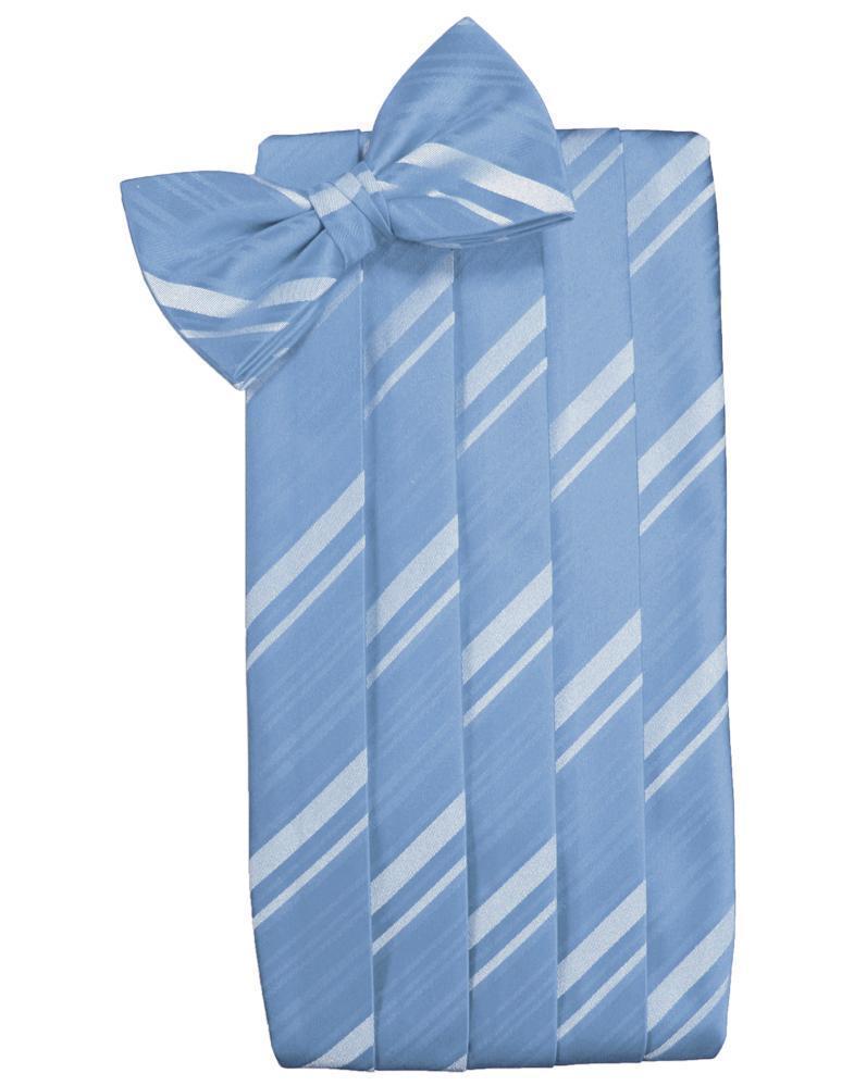 Set Striped Satin Cummerbund & Bow Tie-15