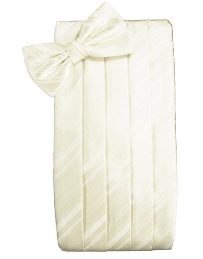 Set Striped Satin Cummerbund & Bow Tie-25