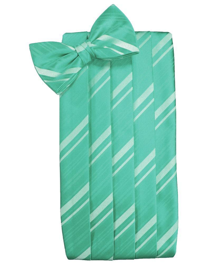 Set Striped Satin Cummerbund & Bow Tie-35