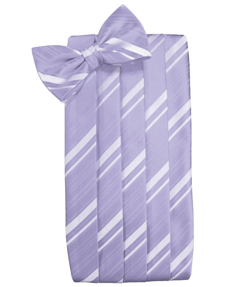 Set Striped Satin Cummerbund & Bow Tie-42