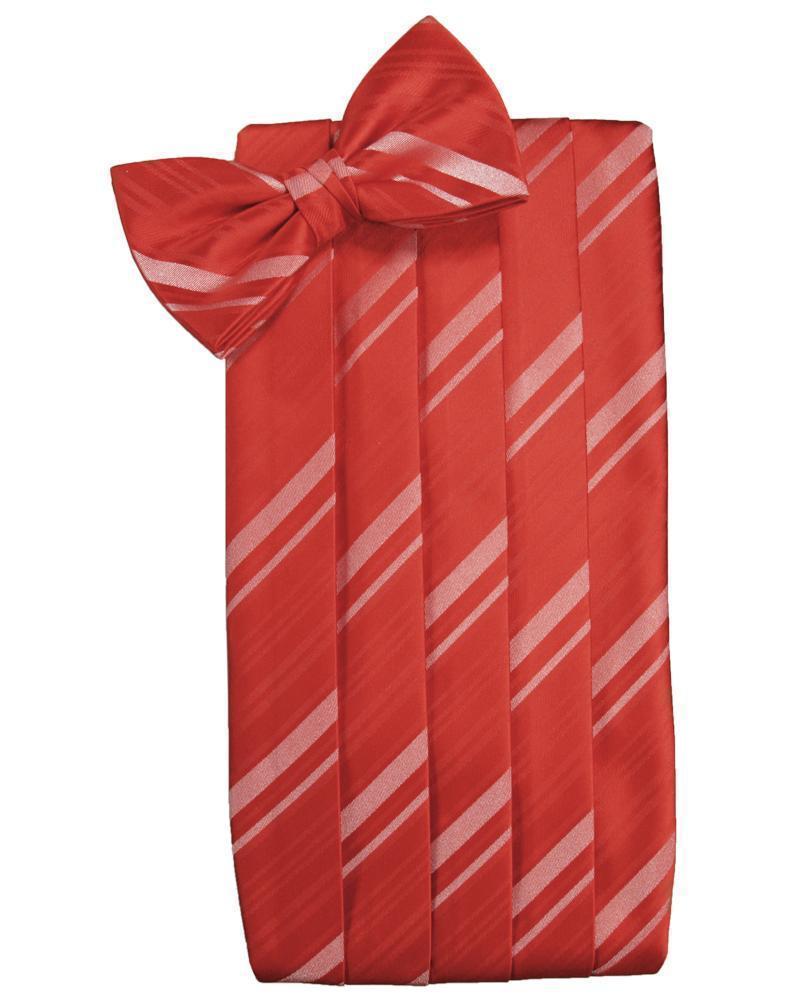 Set Striped Satin Cummerbund & Bow Tie-43