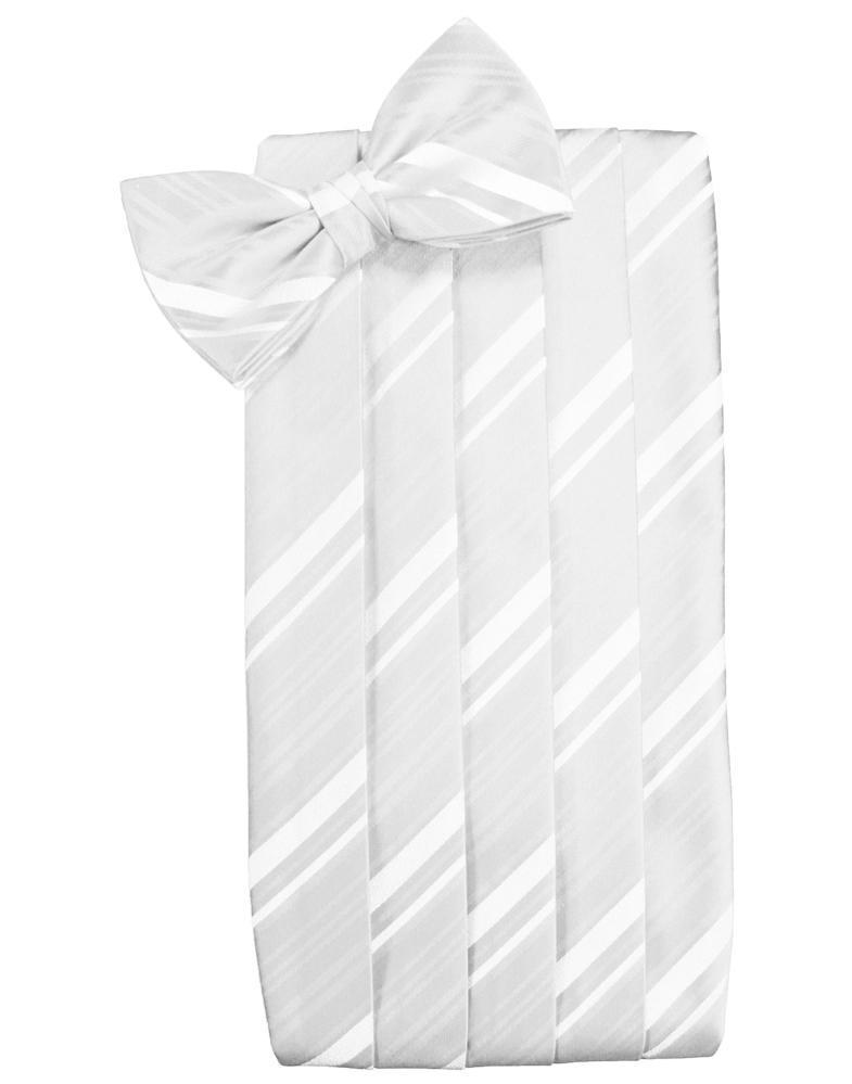 Set Striped Satin Cummerbund & Bow Tie-60