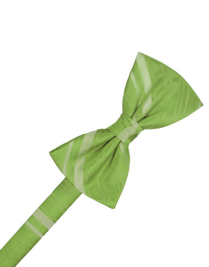 Striped Satin Kids Bow Tie-12