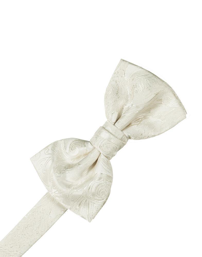 Paisley Silk Bow Tie-1