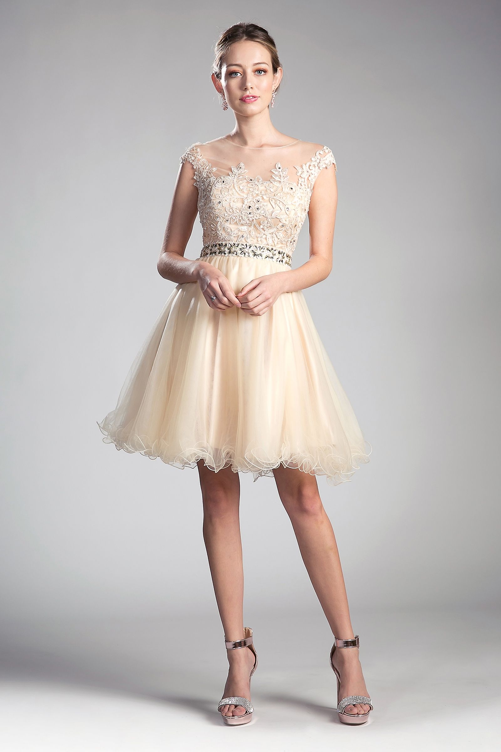 Beaded Lace Bodice Tulle Short Dress-0